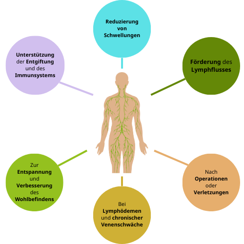 LebensForm - Lyphdrainage- Infografiken